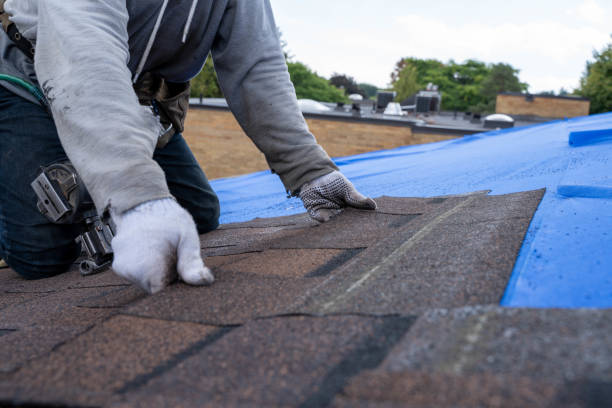 Best Gutter Installation and Roofing  in North Hills, NY